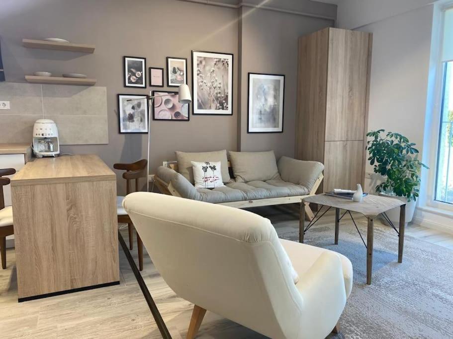 Shi Ti Junior Suite Iasi Eksteriør bilde