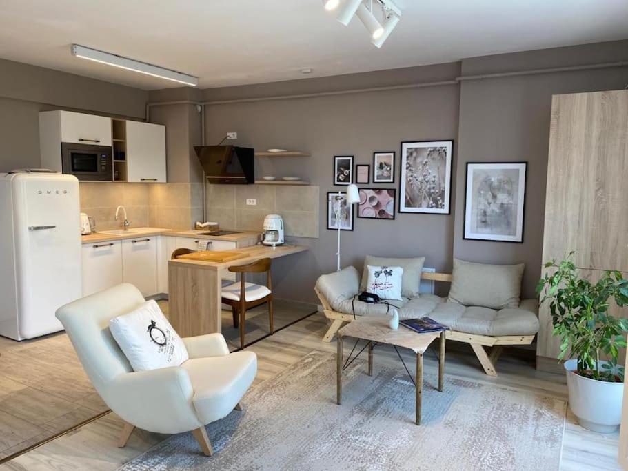 Shi Ti Junior Suite Iasi Eksteriør bilde
